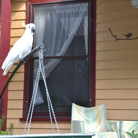 Lemonade Creek Cottages Lorne Εξωτερικό φωτογραφία
