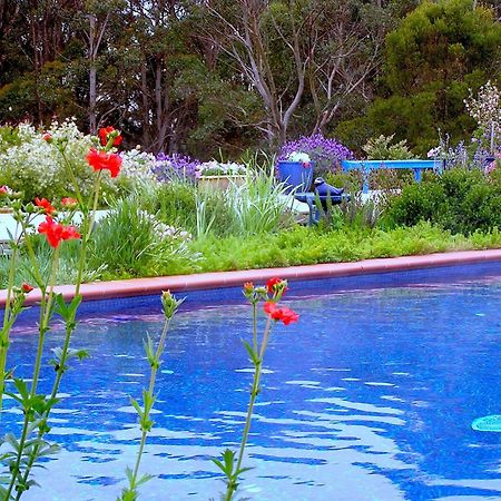 Lemonade Creek Cottages Lorne Εξωτερικό φωτογραφία
