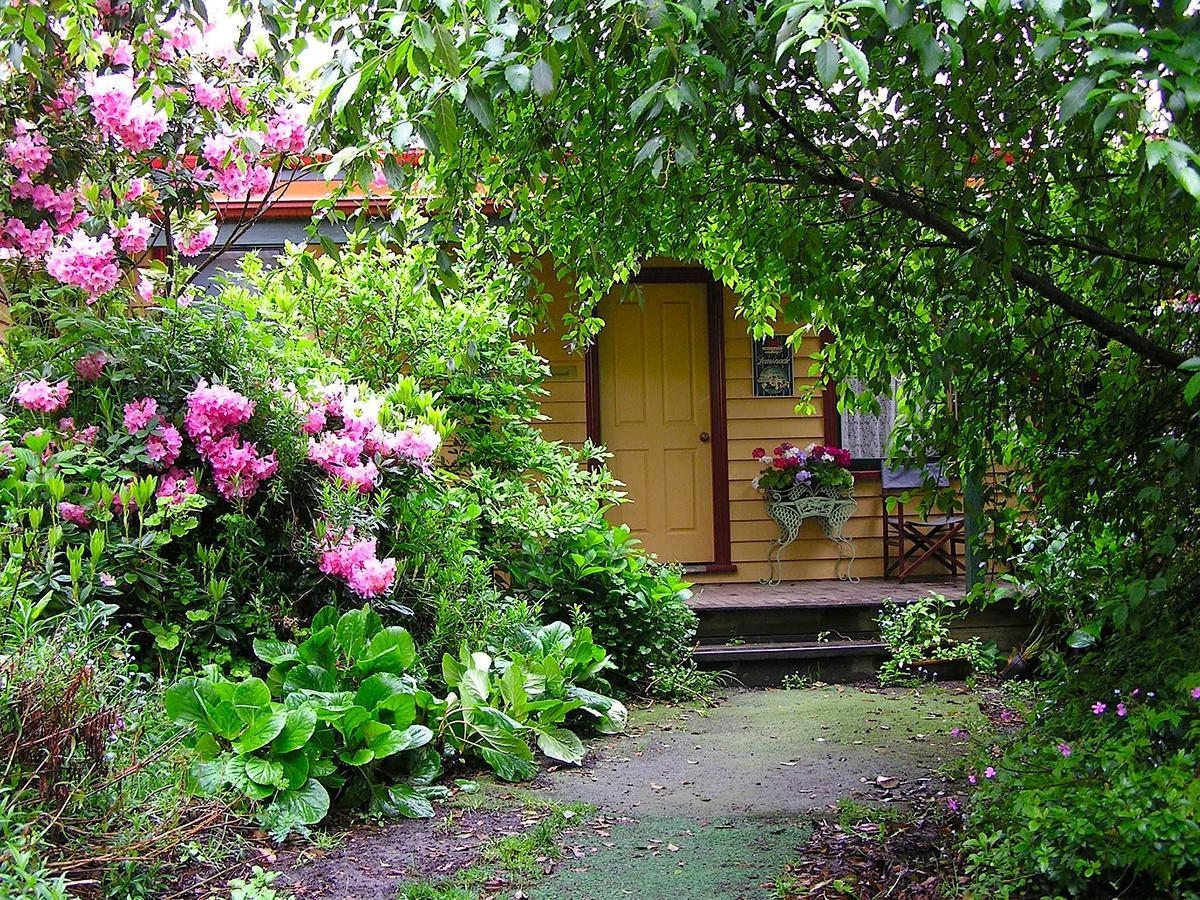 Lemonade Creek Cottages Lorne Εξωτερικό φωτογραφία