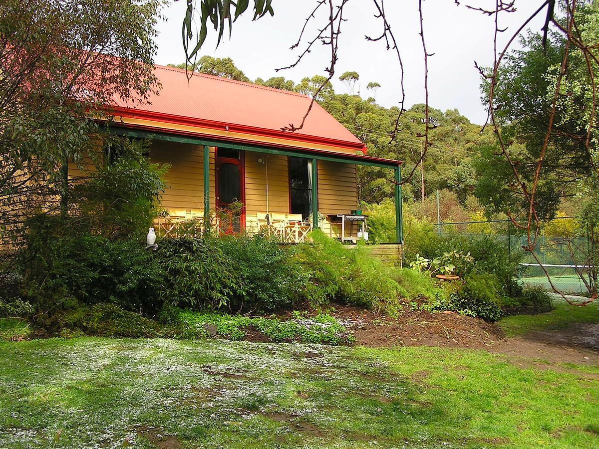 Lemonade Creek Cottages Lorne Εξωτερικό φωτογραφία