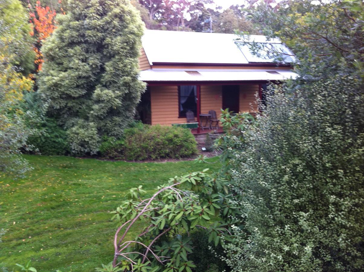 Lemonade Creek Cottages Lorne Εξωτερικό φωτογραφία