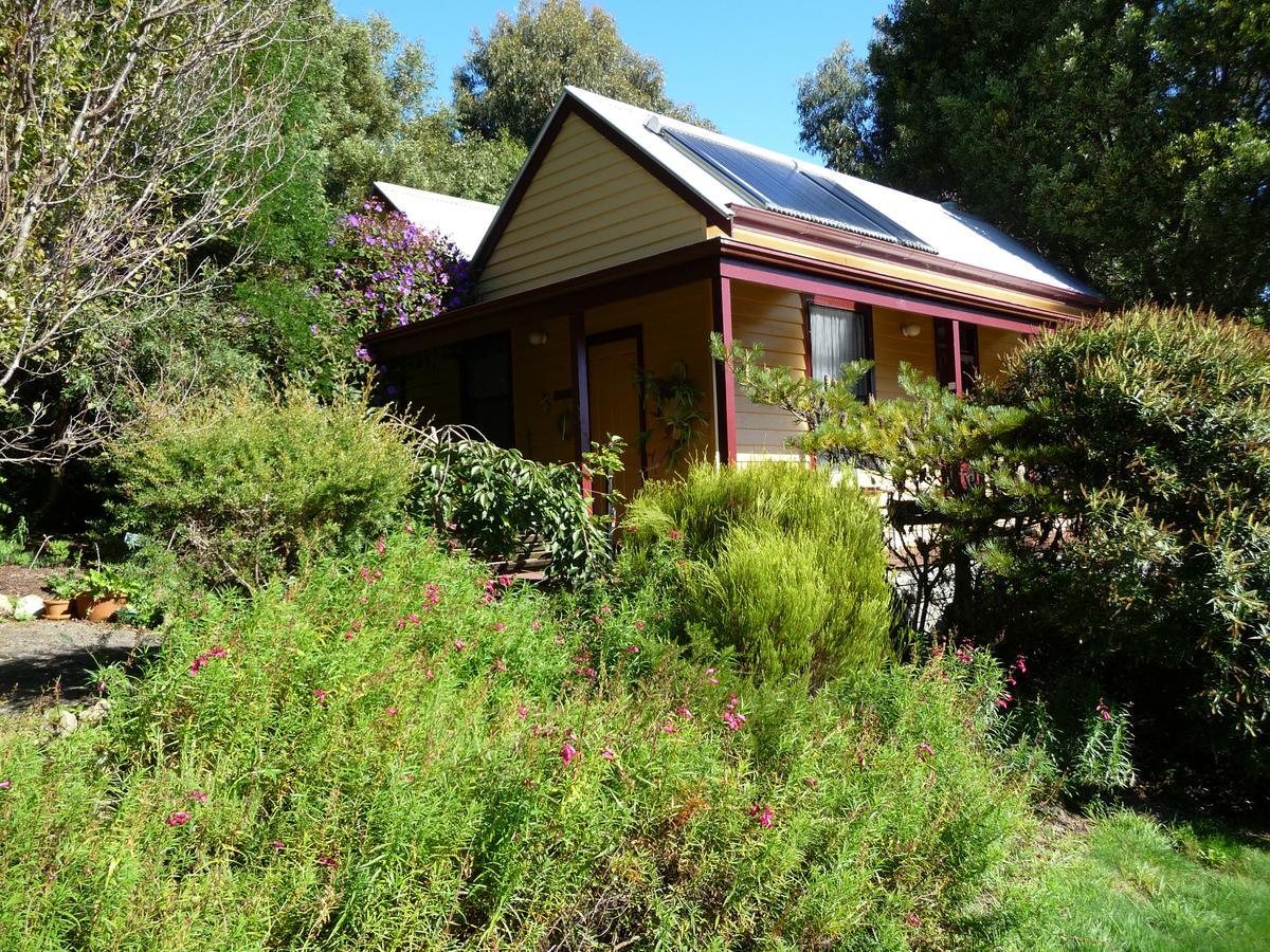 Lemonade Creek Cottages Lorne Εξωτερικό φωτογραφία