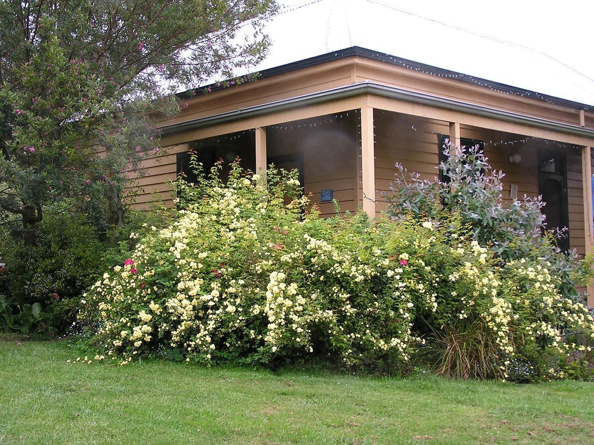 Lemonade Creek Cottages Lorne Εξωτερικό φωτογραφία