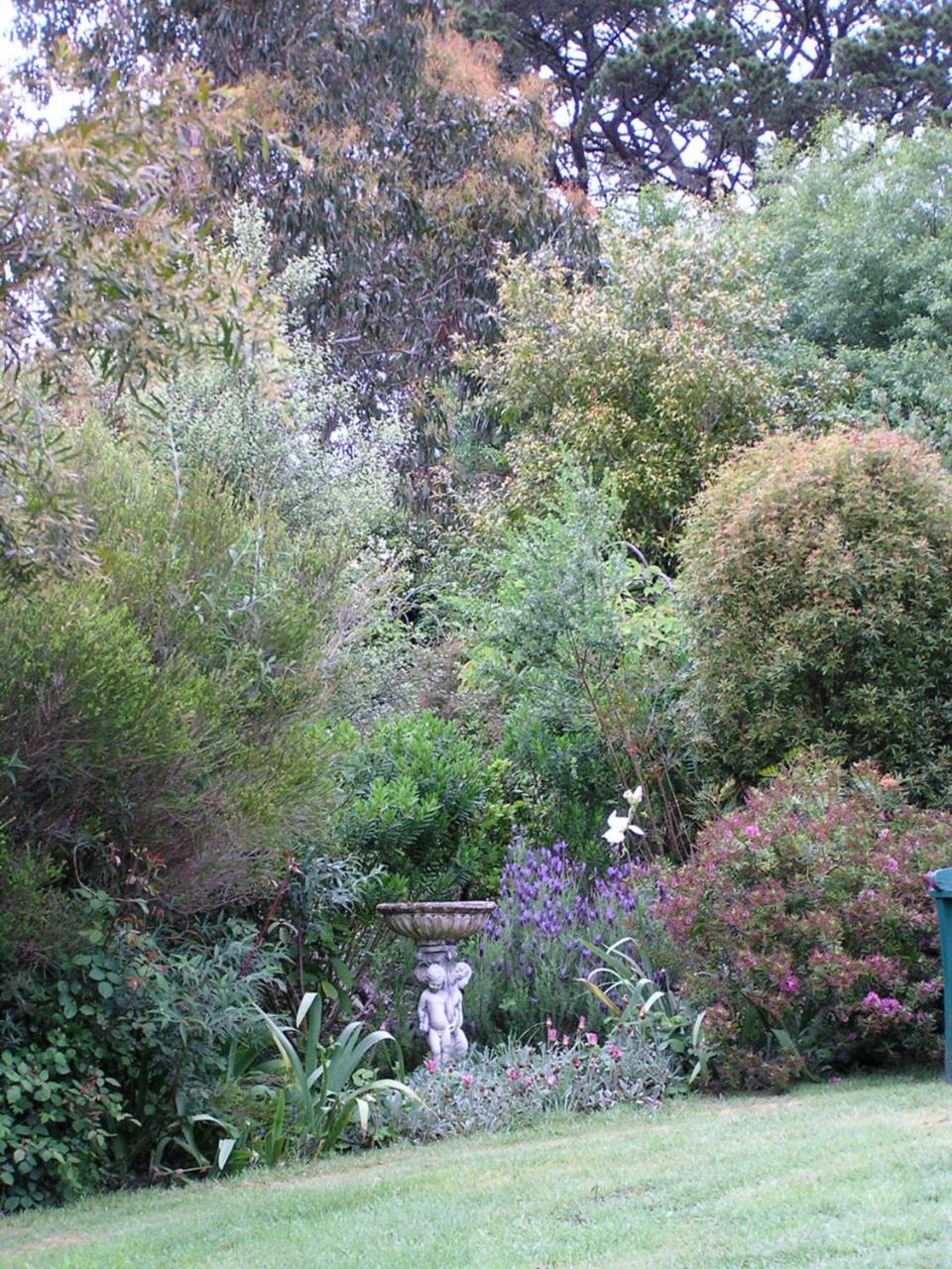Lemonade Creek Cottages Lorne Εξωτερικό φωτογραφία