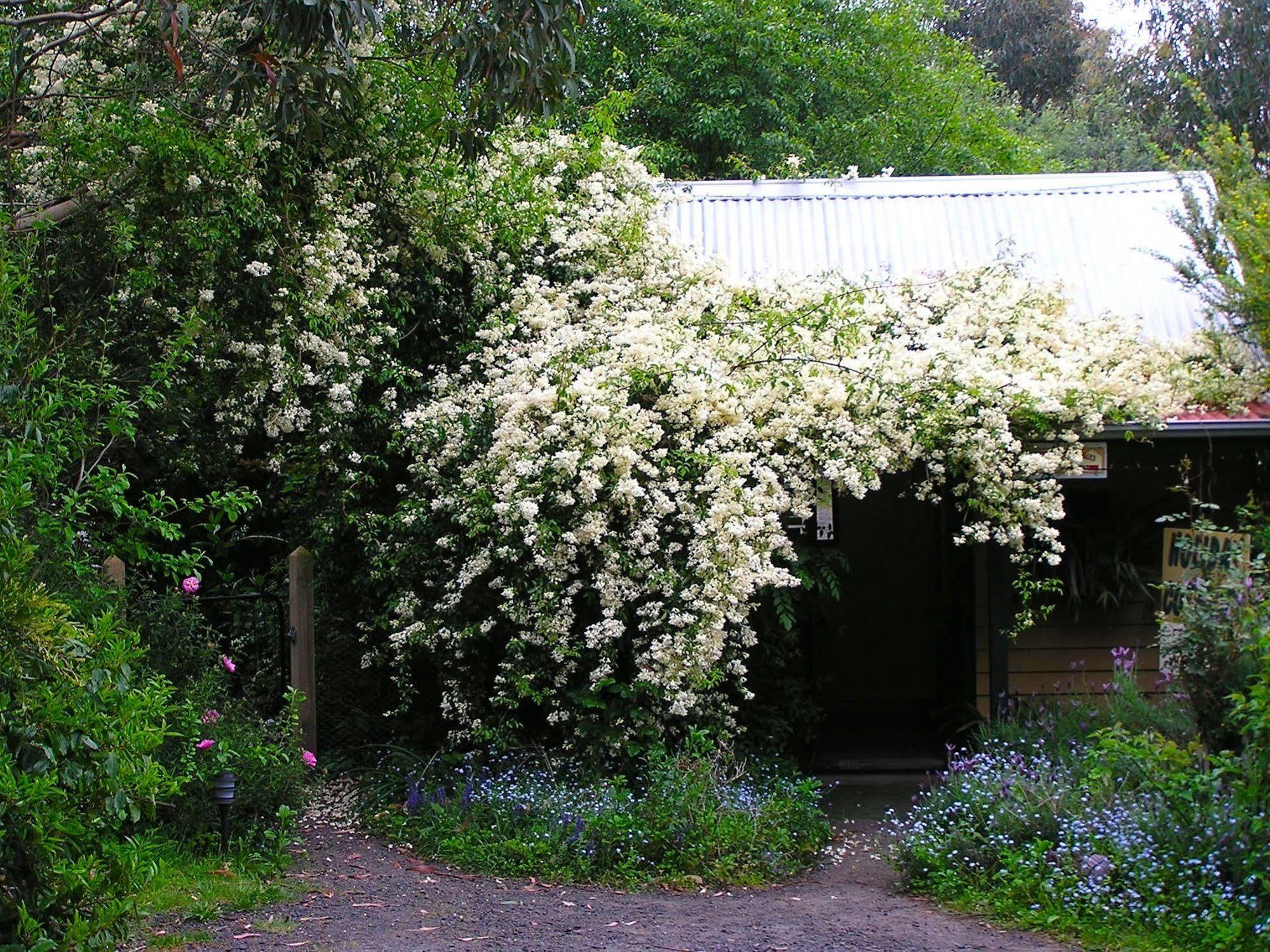 Lemonade Creek Cottages Lorne Εξωτερικό φωτογραφία