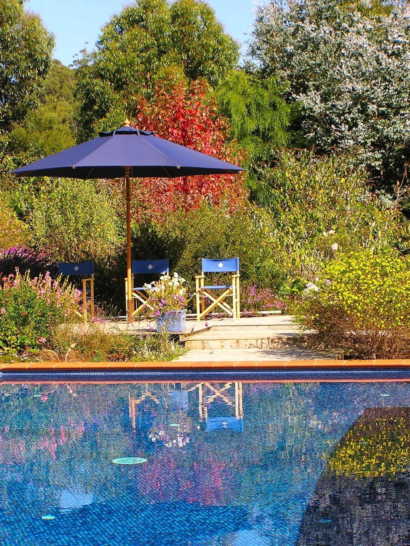 Lemonade Creek Cottages Lorne Εξωτερικό φωτογραφία