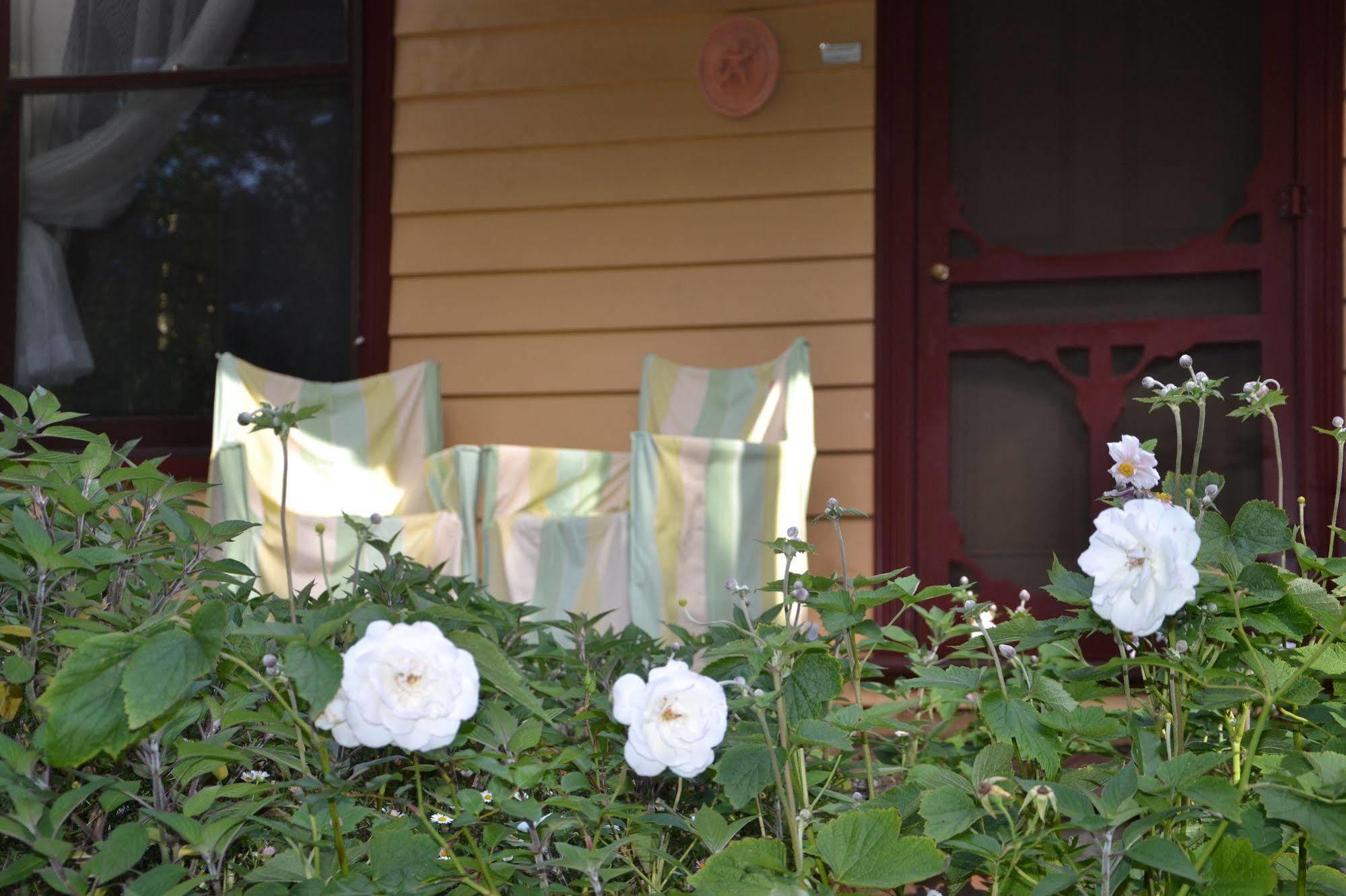 Lemonade Creek Cottages Lorne Εξωτερικό φωτογραφία